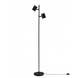 Торшер Asheswood V11287-2F