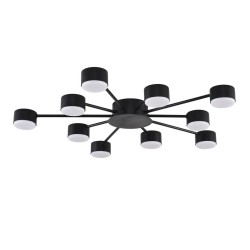 Потолочная люстра Torina 8344/10C