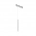 Трековый светильник SIMPLE SPOT | СИМПЛ СПОТ DK8208-WH Denkirs