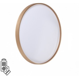 Настенно-потолочный светильник Gaby 7783/EL