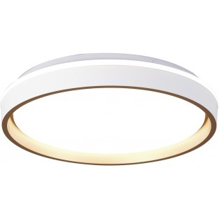 Потолочный светильник Verona 9028