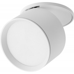 Точечный светильник Acuto 215806