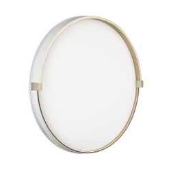 Настенно-потолочный светильник Olidi White 7646/ELN