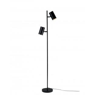 Торшер Ashes V11329-2F