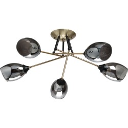 Потолочная люстра Вита 220014005