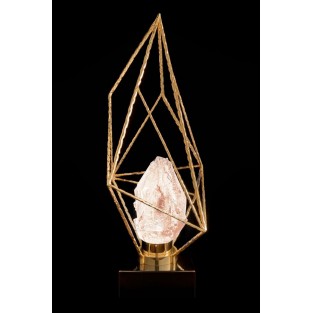 Интерьерная настольная лампа La Citta FL1101-1T1