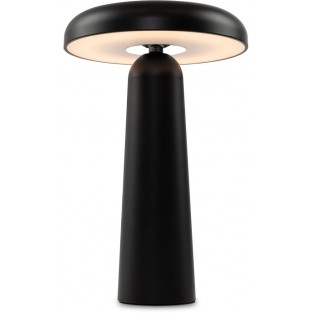 Интерьерная настольная лампа Mushroom FR6109TL-L4B