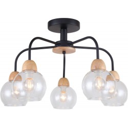 Потолочная люстра Rachel FR5092PL-05B