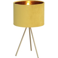 Интерьерная настольная лампа Fuego SL6242.204.01