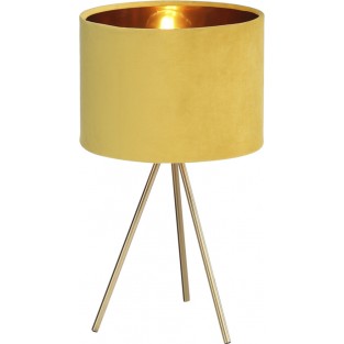 Интерьерная настольная лампа Fuego SL6242.204.01