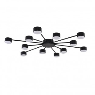 Потолочная люстра Torina 8344/12C