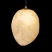 Подвесной светильник Fionora 10531A Loft It