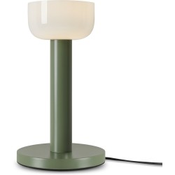 Интерьерная настольная лампа Barries FR6185TL-L5GN