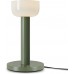 Интерьерная настольная лампа Barries FR6185TL-L5GN