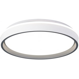 Потолочный светильник Verona 9029