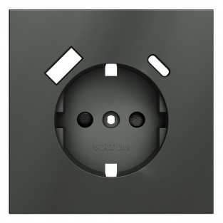 Накладка для розетки с заземлением и защитными шторками, с USB A+C, S70 (титан)