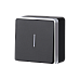 Выключатель одноклавишный с подсветкой Gallant (черный с серебром) WL15-01-04