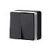 Выключатель двухклавишный Gallant (черный с серебром) WL15-03-01